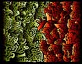 convergence